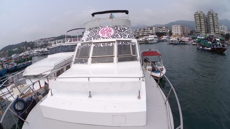 香港遊艇網 遊艇租用: 36916